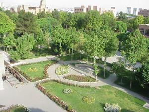 تصویر کوچک